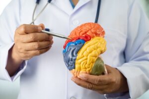 When To See A Neurologist After a Head Injury